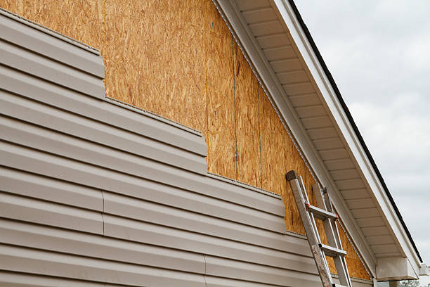 Professional Siding Repair technician working in Ashburn, GA